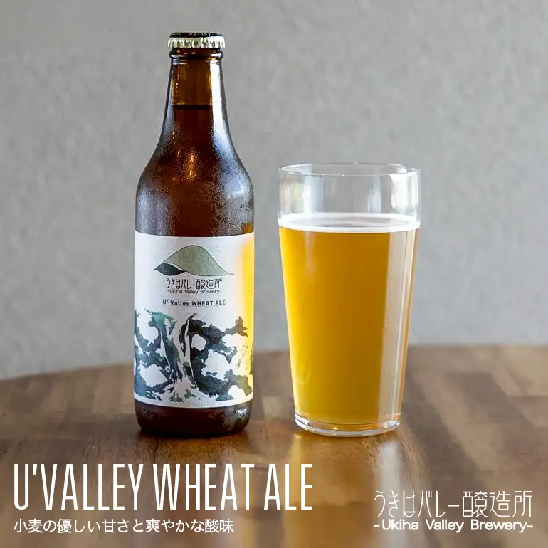 【ふるさと納税】クラフトビール 飲み比べ 4種 8本セット 地ビール ビール 瓶ビール お酒 ギフト 詰め合わせ プレゼント 家飲み お祝い お祝い返し 開店祝い 退職祝い 新築祝い おすすめ 国産 福岡県うきは市 エールビール 送料無料【株式会社うきはバレー醸造所】