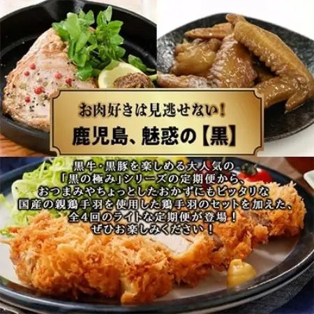 【発送月固定定期便】黒の極定期便　ライト全4回【配送不可地域：離島】【4014779】
