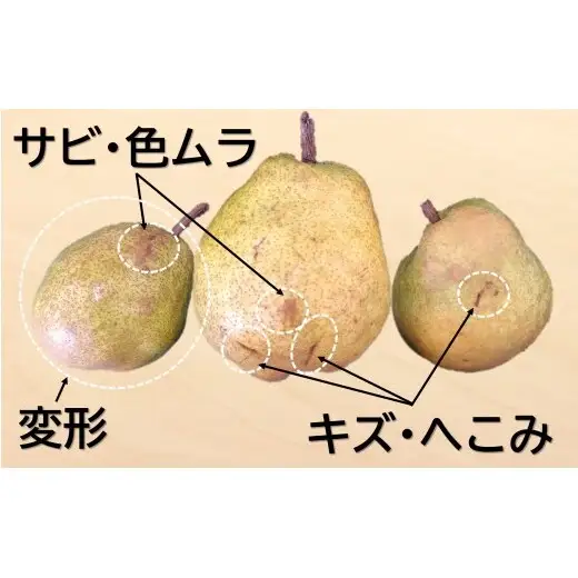 【令和8年産先行予約】 〈訳あり品 家庭用〉 ラ・フランス 約5kg (12～24玉) 《令和8年11月中旬～発送》 『カネタ高橋青果』 ラフランス フルーツ デザート 山形県 南陽市 [2674]