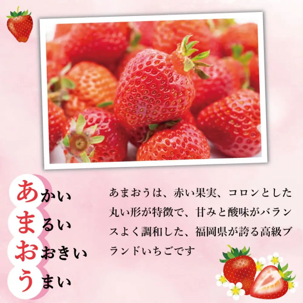 有機肥料にこだわった たっちゃん家の完熟冷凍あまおう　1kg×2袋　計2kg