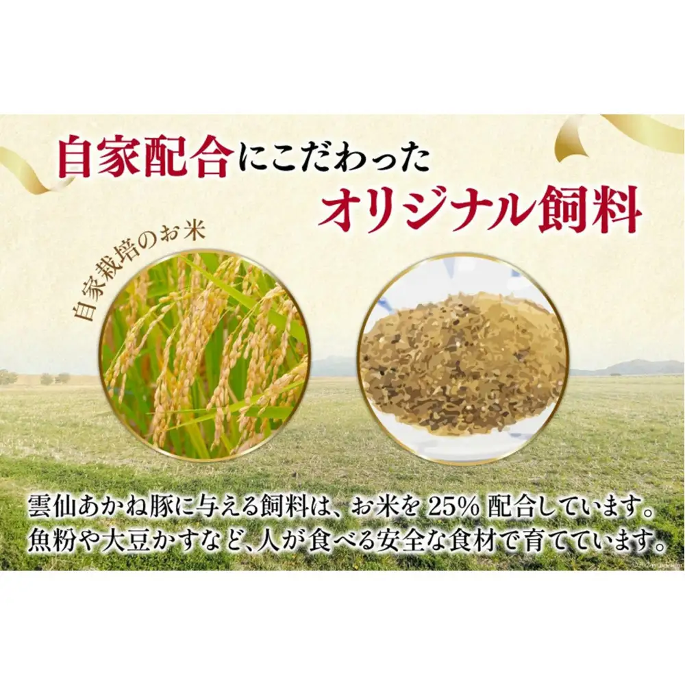 雲仙あかね豚　ハンバーグ