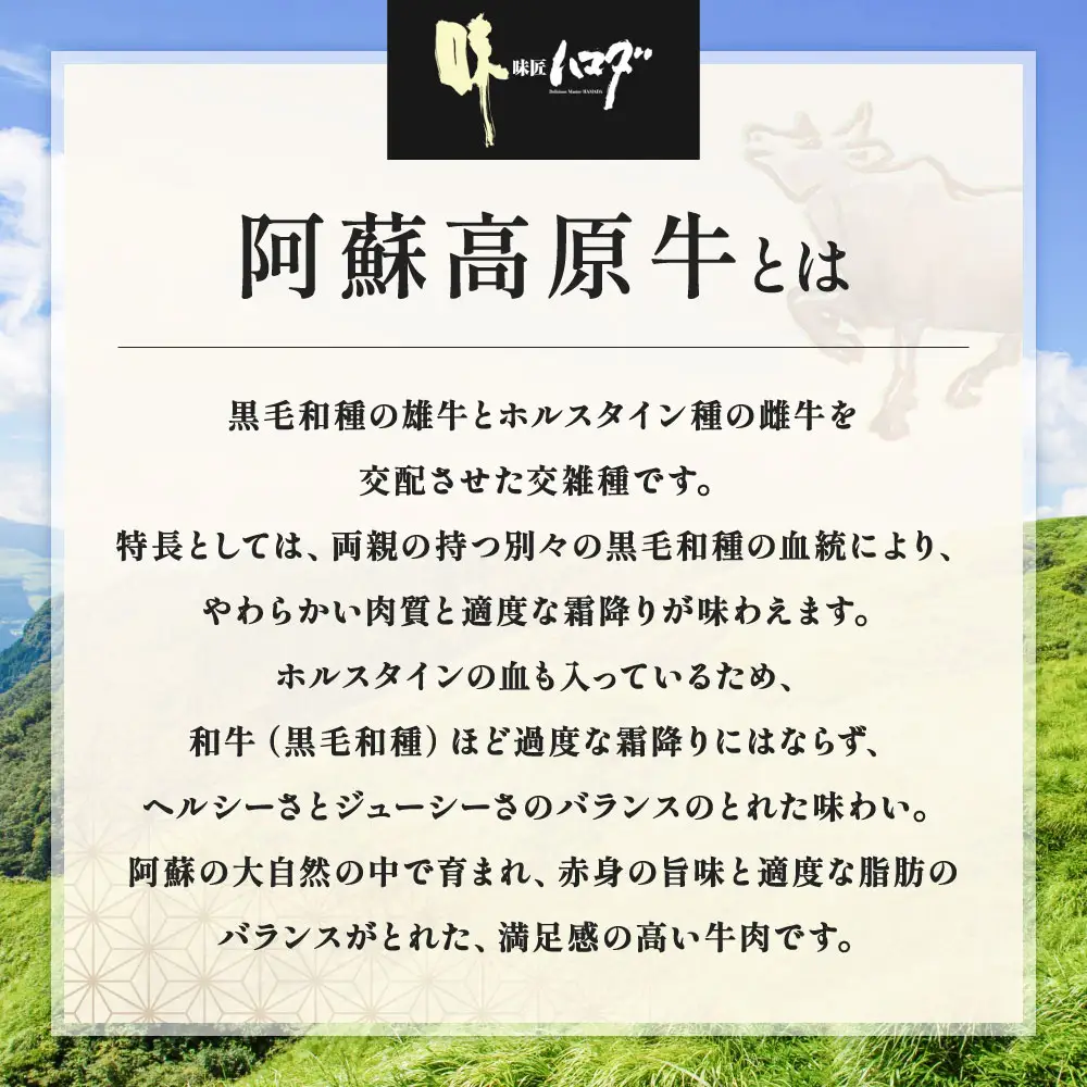 【 順次発送 】 阿蘇高原牛 サーロインステーキ 約400g ( 約200g x 2枚 ) お肉 肉 ニク にく 牛肉 牛 サーロイン ステーキ 焼肉 真空パック 精肉 冷凍