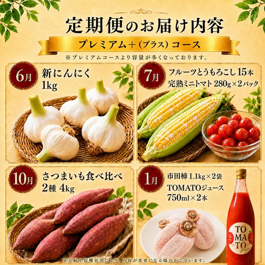 【定期便4回】「テトテ定期便」プレミアムコース ＜6月・7月・10月・1月発送＞| テトテ農園