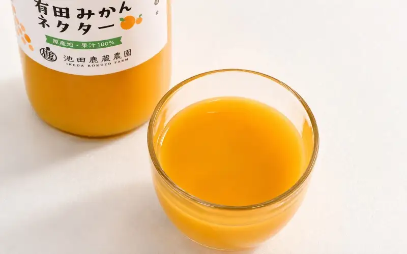 みかん ネクター 100％ ジュース / 温州みかん 有田みかん 果汁 無添加 柑橘 和歌山 11000円 720ml ※北海道・沖縄・離島への配送不可 //drink【ikd100-to720-3】
