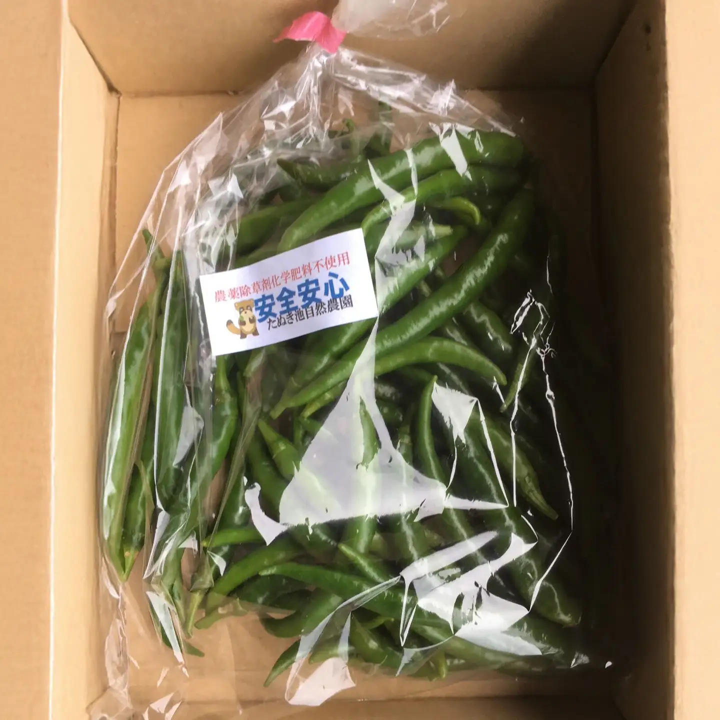 【栽培期間中農薬不使用】青唐辛子 フレッシュ 200g  大村市 たぬき池自然農園/ 唐辛子 生唐辛子 トウガラシ とうがらし[ACCJ005]