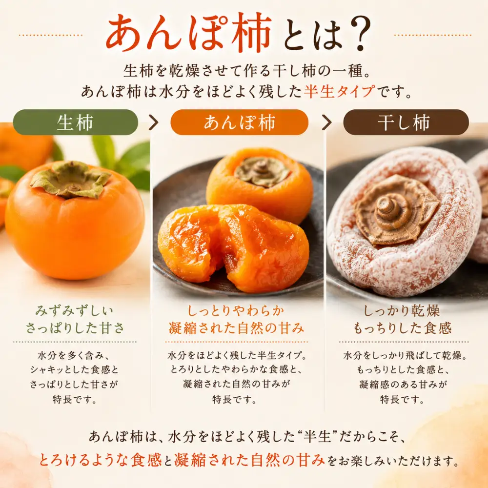 【ふるさと納税】＜先行予約受付中！2026年12月以降順次発送予定＞ 山梨県産 あんぽ柿（平たね無or百目2～4個入） 3袋 柿 かき  果物 フルーツ 先行予約