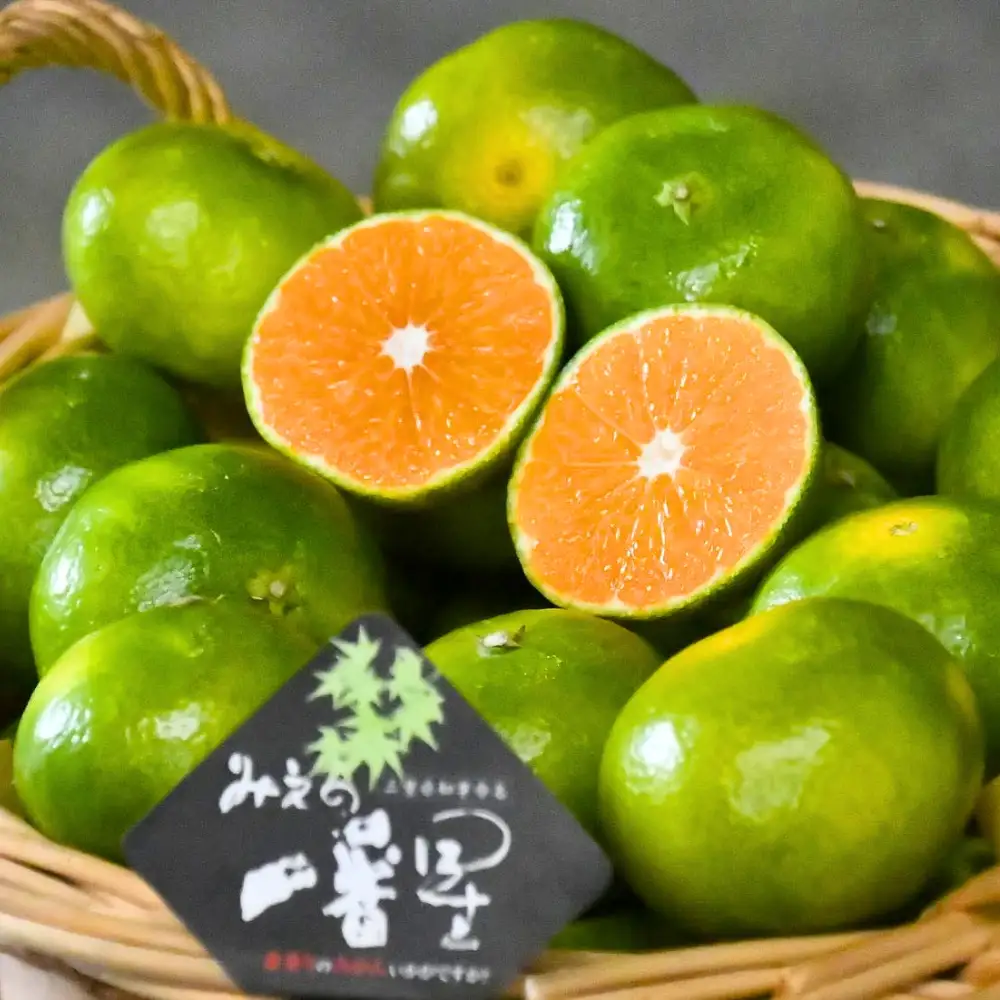 【三重ブランド認定品】 みかん JAみえの一番星 (味一号)  超極早生 5kg みかん【isen0001】