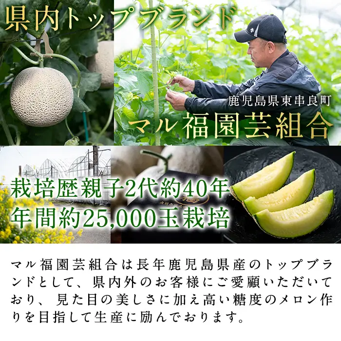 【0151119a】《先行予約受付中！》＜厳選極み＞お正月に食べ頃！マル福の高級アールスメロン(大玉1玉・1.7kg以上) メロン フルーツ 果物 果実 1キロ 数量限定 期間限定 贈答 贈り物 ギフト お正月 謹賀新年 年末 【マル福園芸組合】