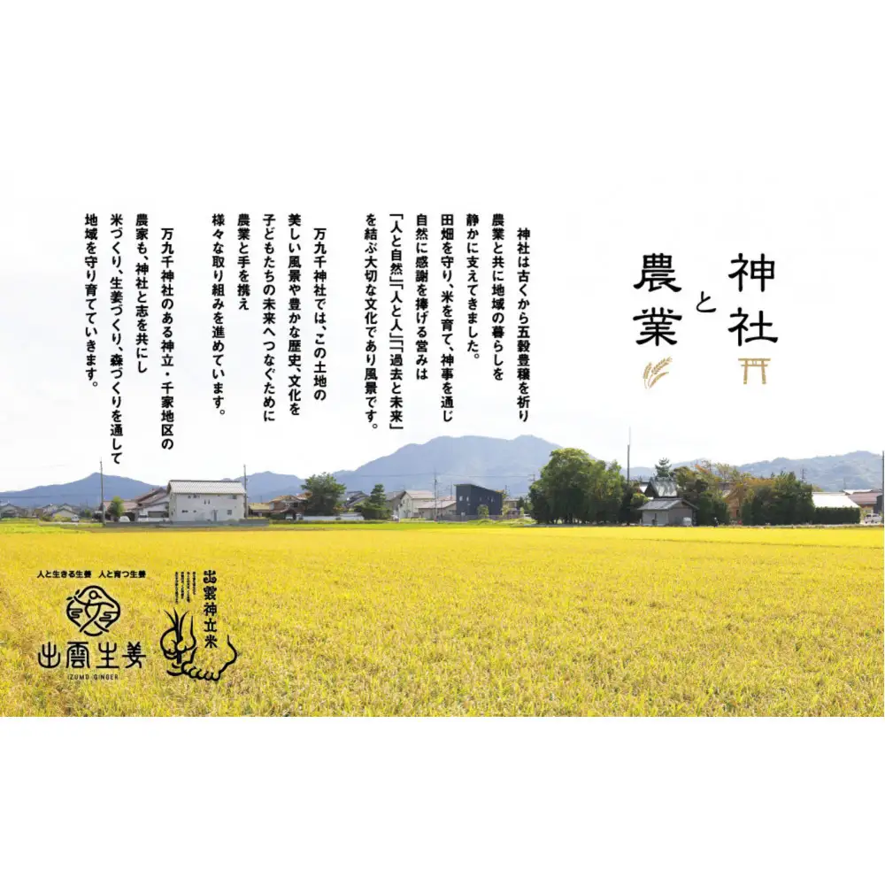 出雲神立米（きぬむすめ） 精米10kg（2kg×5袋）