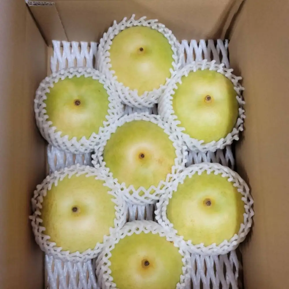 二十世紀梨【進物】3kg（岸田秀果園） 鳥取 梨 果物 フルーツ 和梨 二十世紀梨 20世紀梨 人気 甘い 進物 贈答用