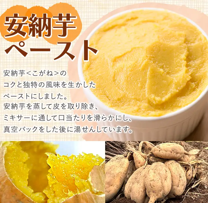 安納芋 ペースト 1kg × 1P さつまいも 黄金 冷凍 小分け 【なかたね農産】n457