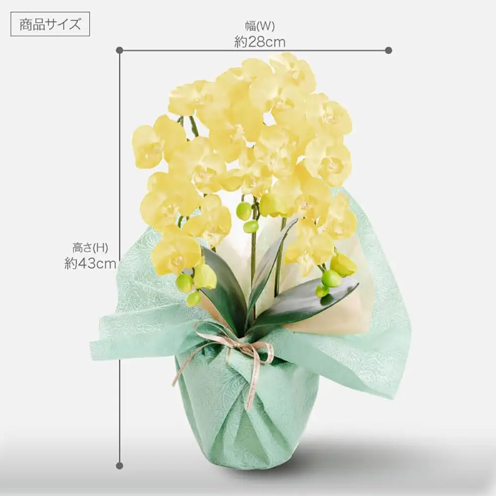 枯れないアーティフィシャルフラワー ミニ胡蝶蘭 3本立ち イエロー SC触媒加工済