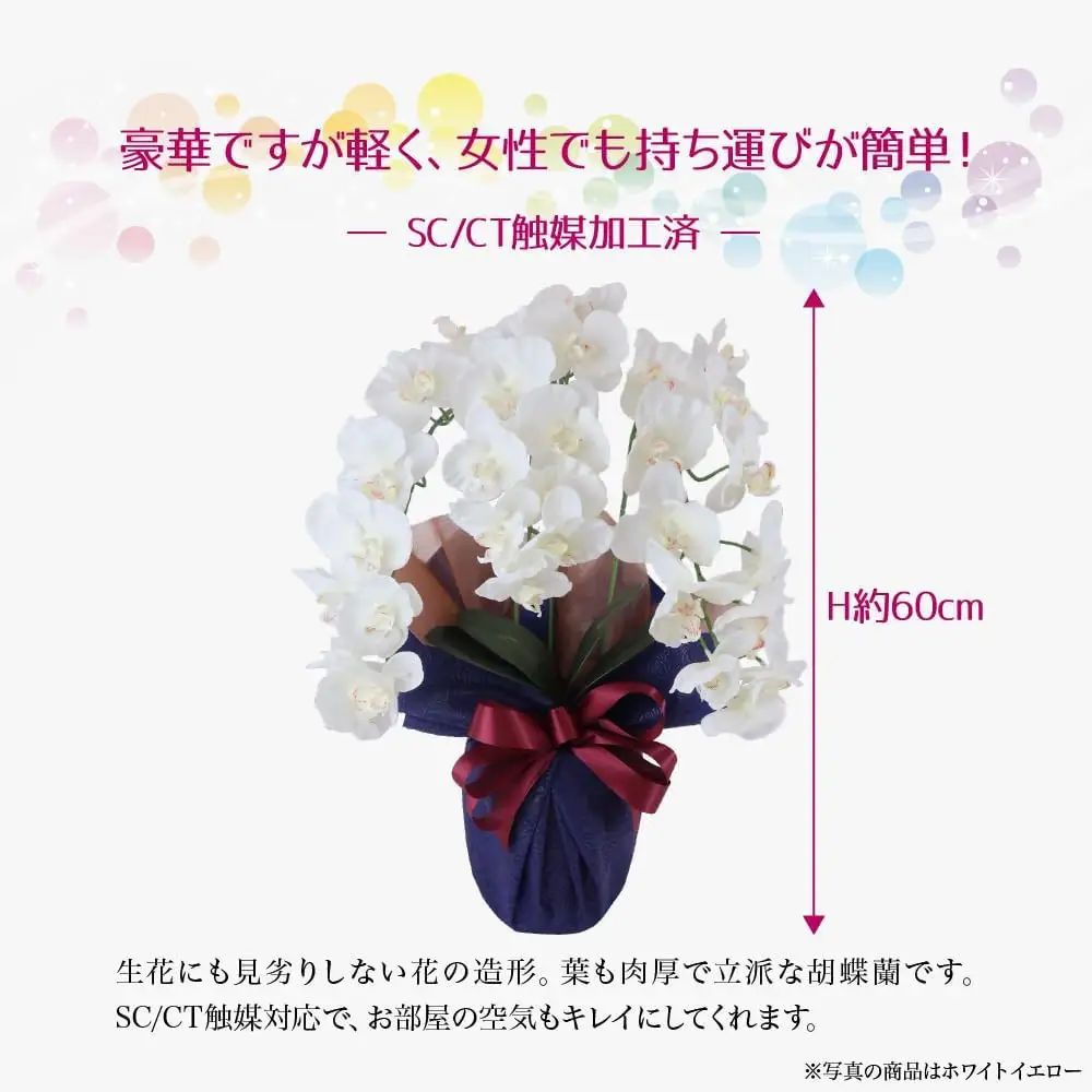 枯れないアーティフィシャルフラワー 胡蝶蘭 3本立ち ホワイトイエロー SC触媒加工済