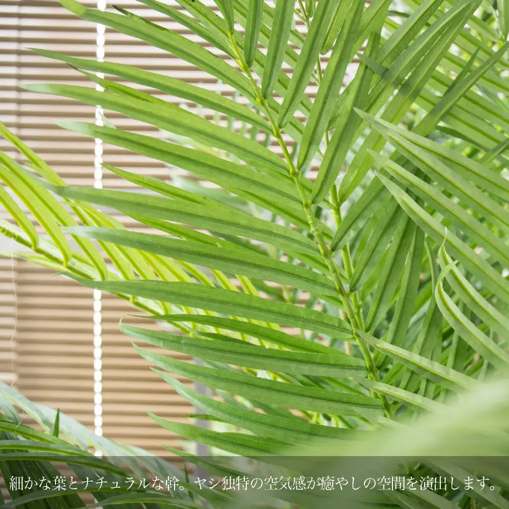 人工観葉植物 アレカパーム175cm 樹脂鉢Lサイズ白 SC触媒加工済