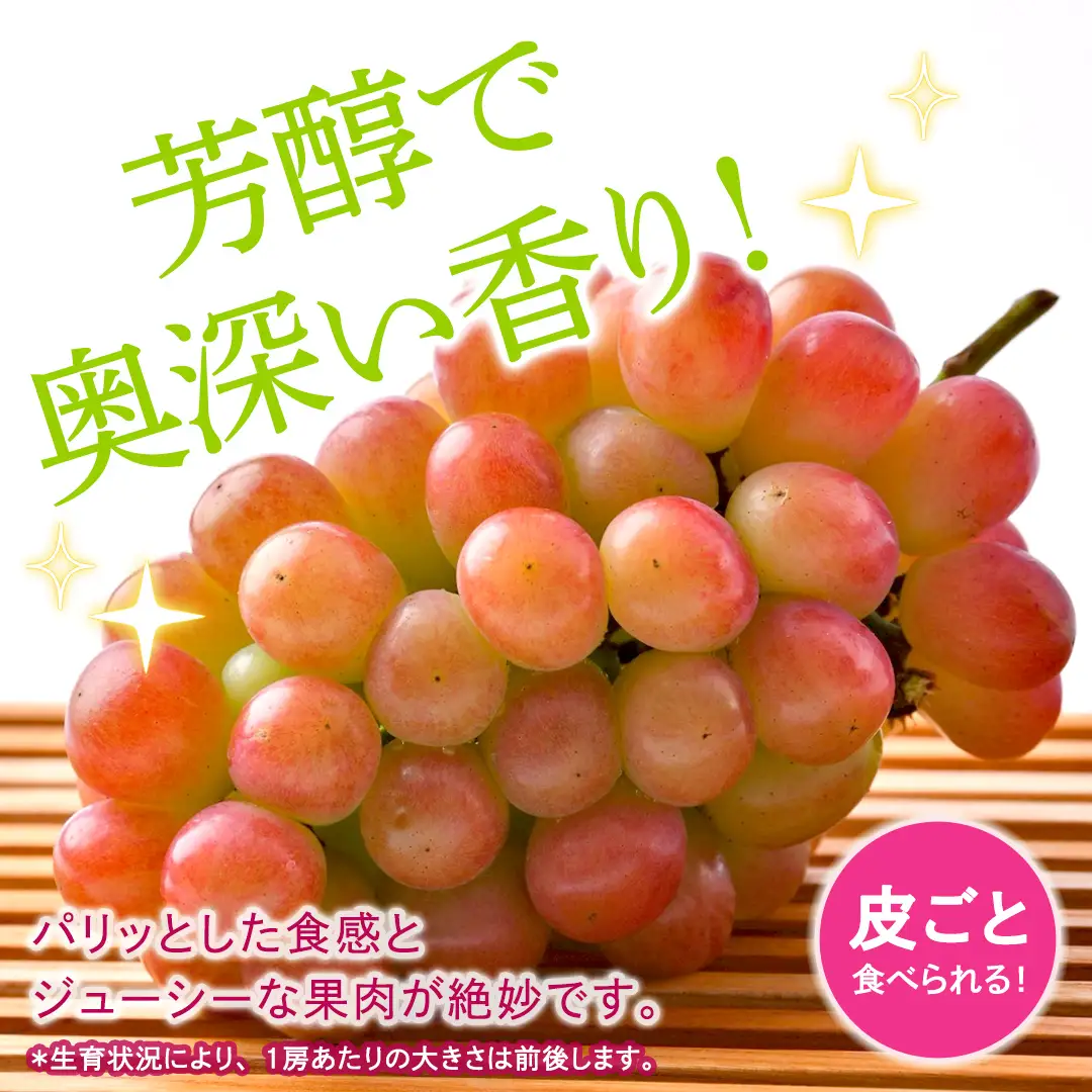 我が道 約2kg （約4房）【2026年8月より発送開始】（茨城県共通返礼品 [ぶどう]：結城市産）