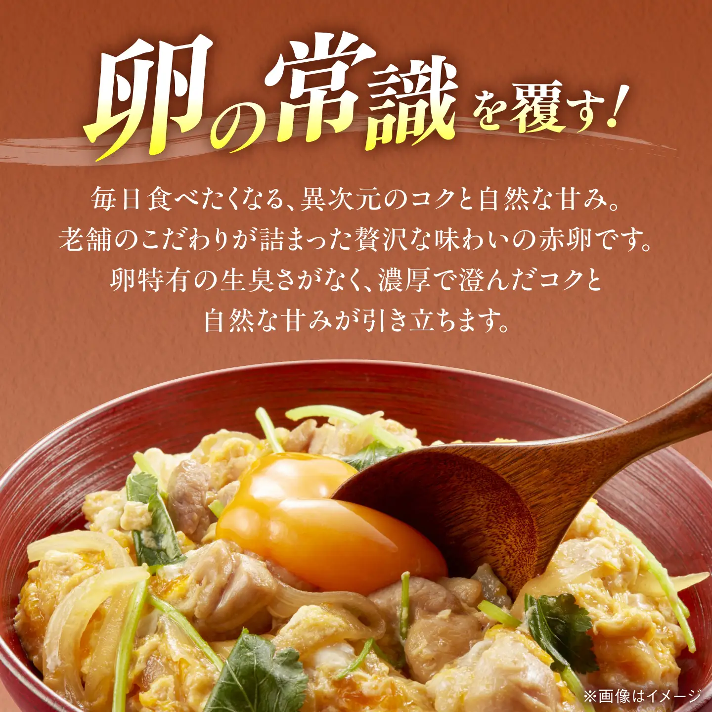 くしたま赤卵 30個（27個＋割れ保証3個）/ 卵 たまご 鶏卵 赤卵 / 稲沢市 / 櫛田養鶏場[BMAY003]
