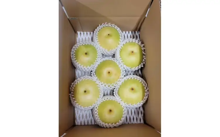 二十世紀梨【自家用】3kg（岸田秀果園） 鳥取 梨 果物 フルーツ 和梨 二十世紀梨 20世紀梨 人気 甘い 自家用 産地直送