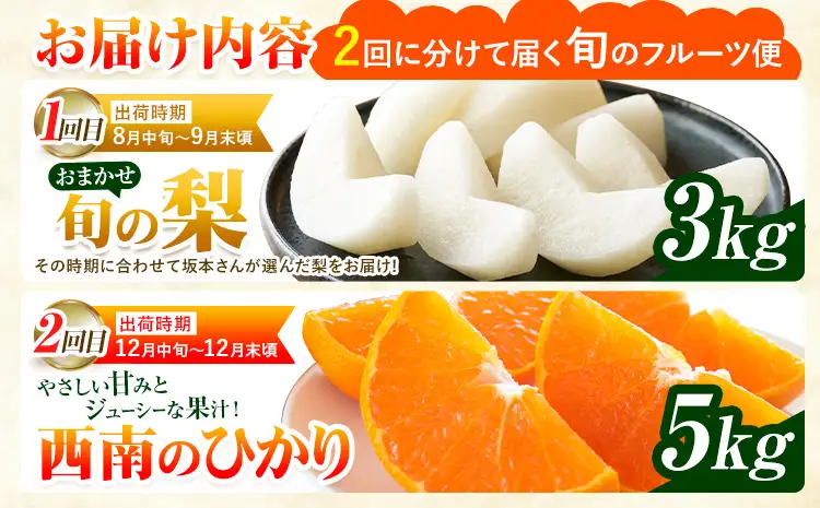 フルーツ 定期便 旬の梨 3kg 西南のひかり 5kg 2回定期便 さかもと果樹園《梨：8月中旬-10月上旬頃出荷 みかん：12月中旬-12月末頃出荷》