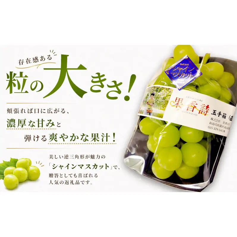 【先行受付】 新潟県産シャインマスカット 2房