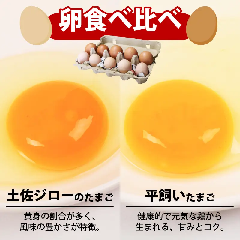 【土佐ジローの卵と平飼い卵 セット】 計60個(各30個)