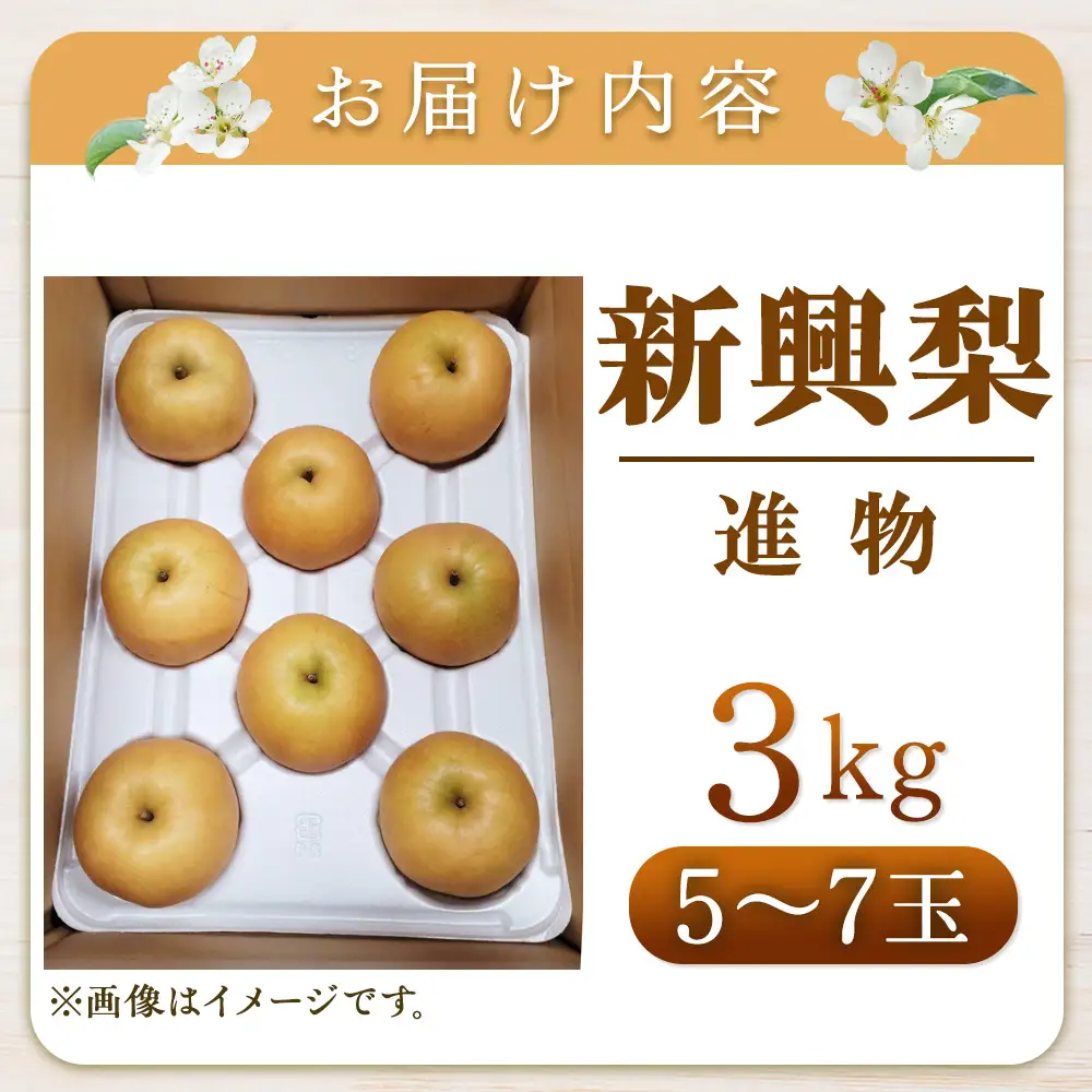 新興梨【進物】3kg（岸田秀果園） 鳥取 梨 なし ナシ 果物 フルーツ 和梨 新興梨 しんこうなし 人気 進物 贈答用