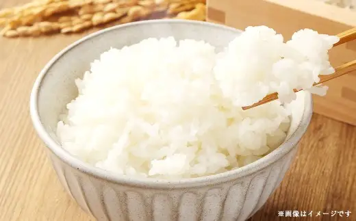 【 数量限定 】 令和7年産米五城目産 あきたこまち 新米切替前 在庫限り 5kg × 3袋 （ 15kg ） お米 米 こめ コメ 白米 精米 白飯 飯 ご飯 おにぎり 国産 秋田県産 ブランド米 【 2026年11月下旬まで発送予定 】