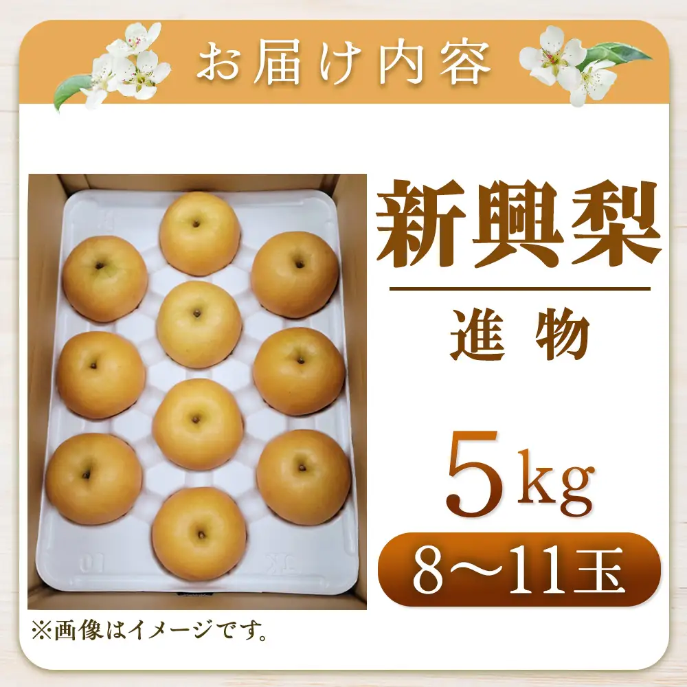 新興梨【進物】5kg（岸田秀果園） 鳥取 梨 なし ナシ 果物 フルーツ 和梨 新興梨 しんこうなし 人気 進物 贈答用
