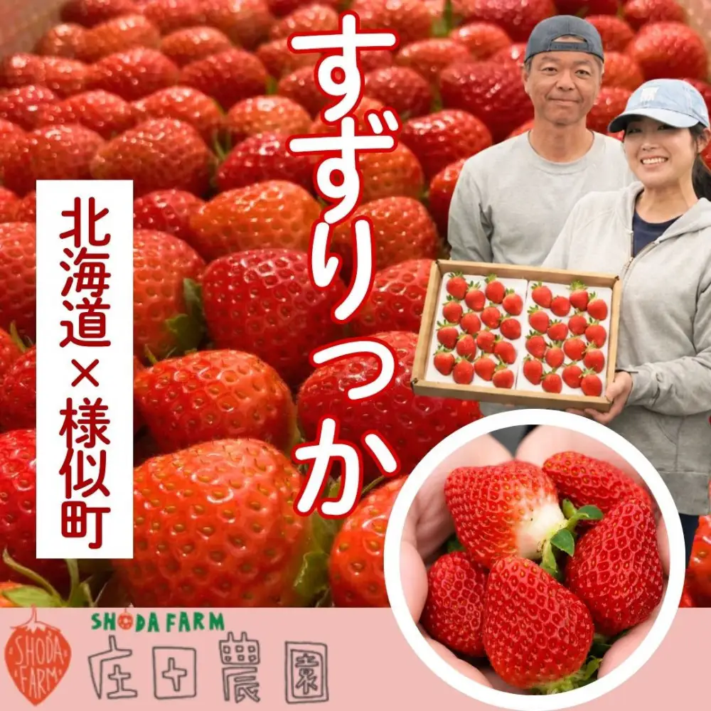 北海道様似町産 すずりっか 300g×2セット いちご いちご
