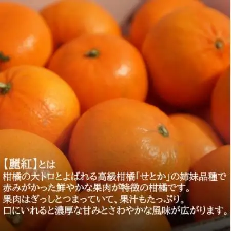 「濃厚柑橘」せとかの姉妹品種「麗紅(れいこう)」 約5kg(サイズ不選別)【2027年2月以降発送】【配送不可地域：離島・北海道・沖縄県】【1752418】
