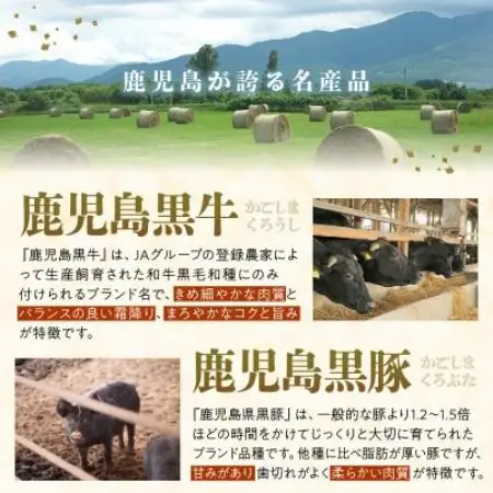 【発送月固定定期便】鹿児島黒牛・黒豚食べ比べ定期便(南九州市)全6回【配送不可地域：離島】【4088658】