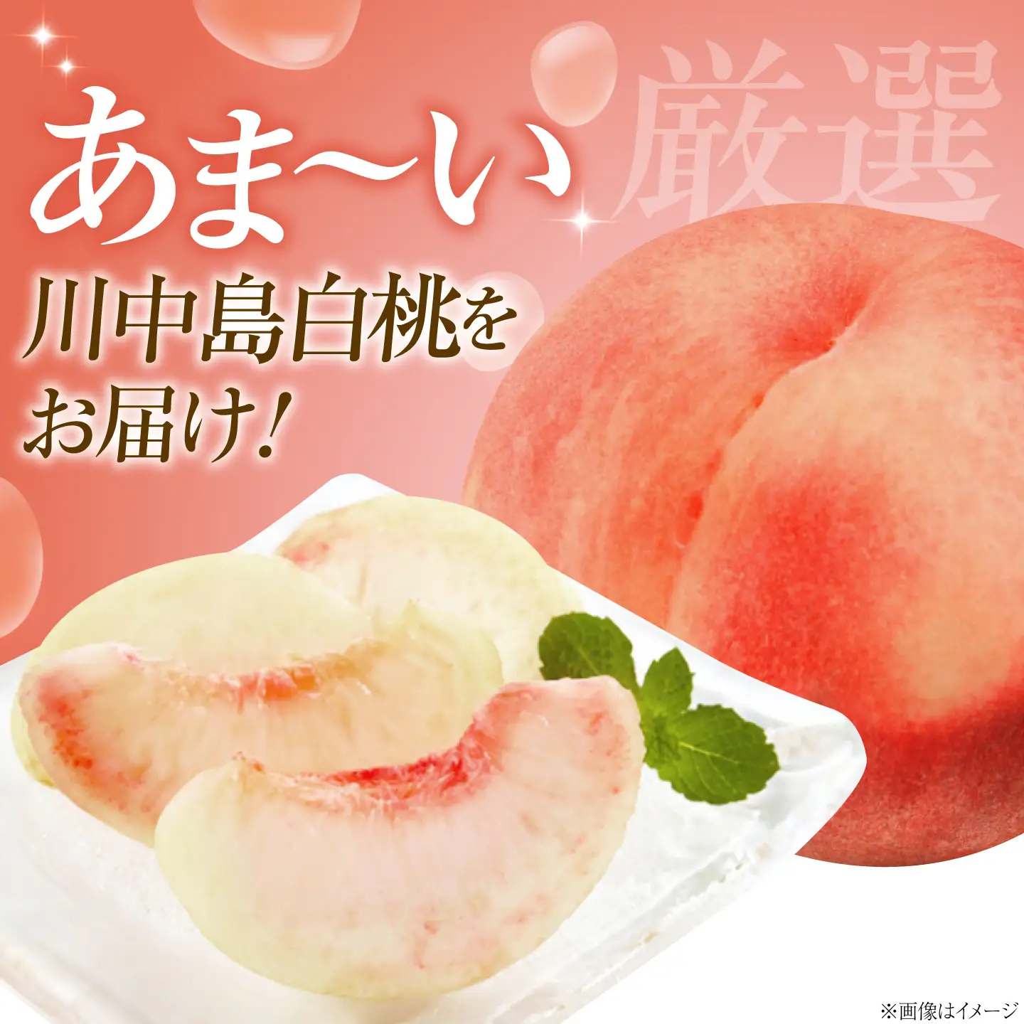 【先行予約】川中島白桃 10〜12玉入り 2026年8月〜発送 BKAD118 桃