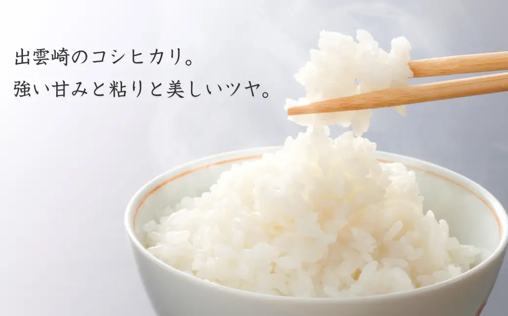 【新米】【先行予約】 新潟県産 コシヒカリ 5㎏ 〈11月中旬発送分〉令和8年産 | コシヒカリ 農事組合法人ファーム天領
