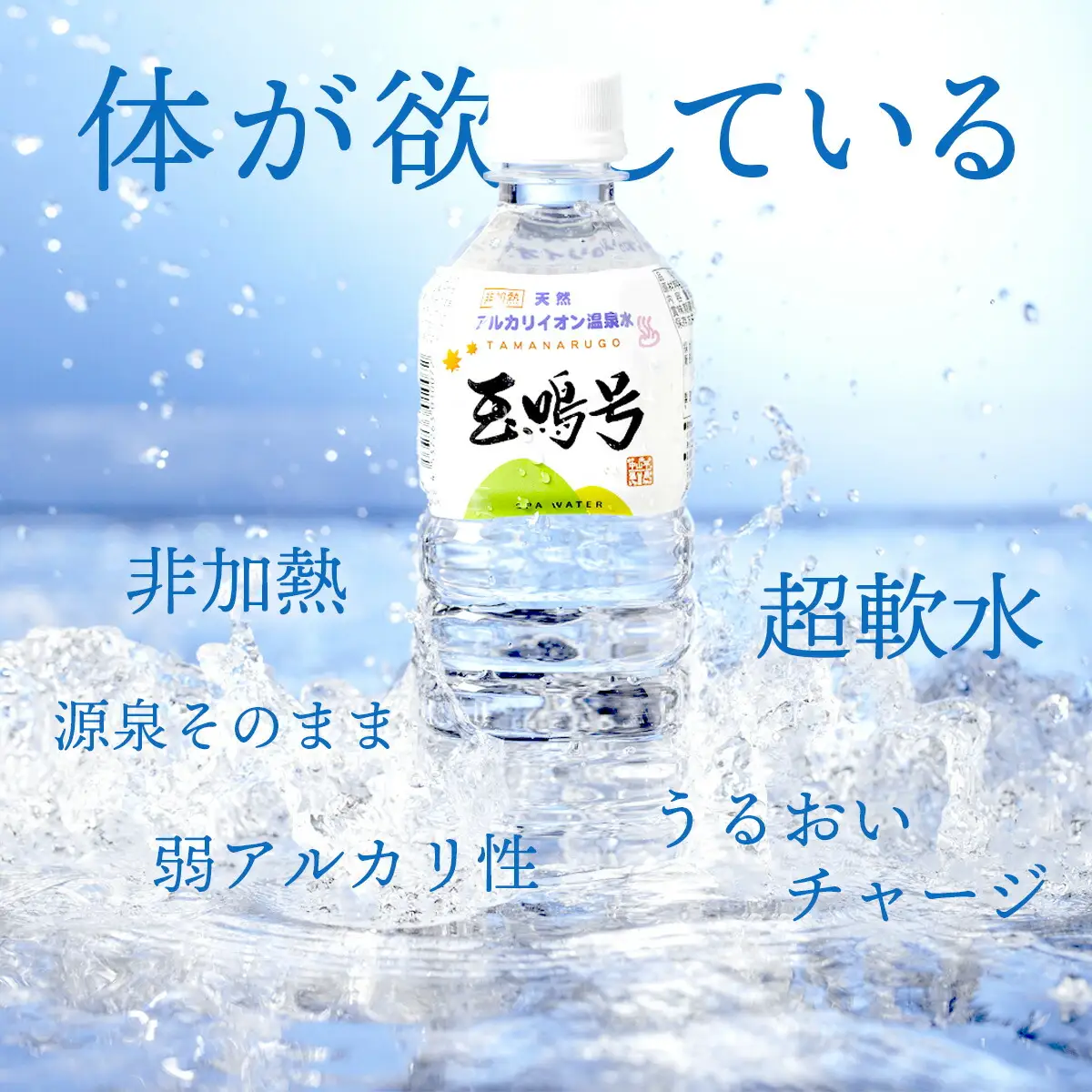 玉鳴号 2l×6本 | bi-tng-2l-6