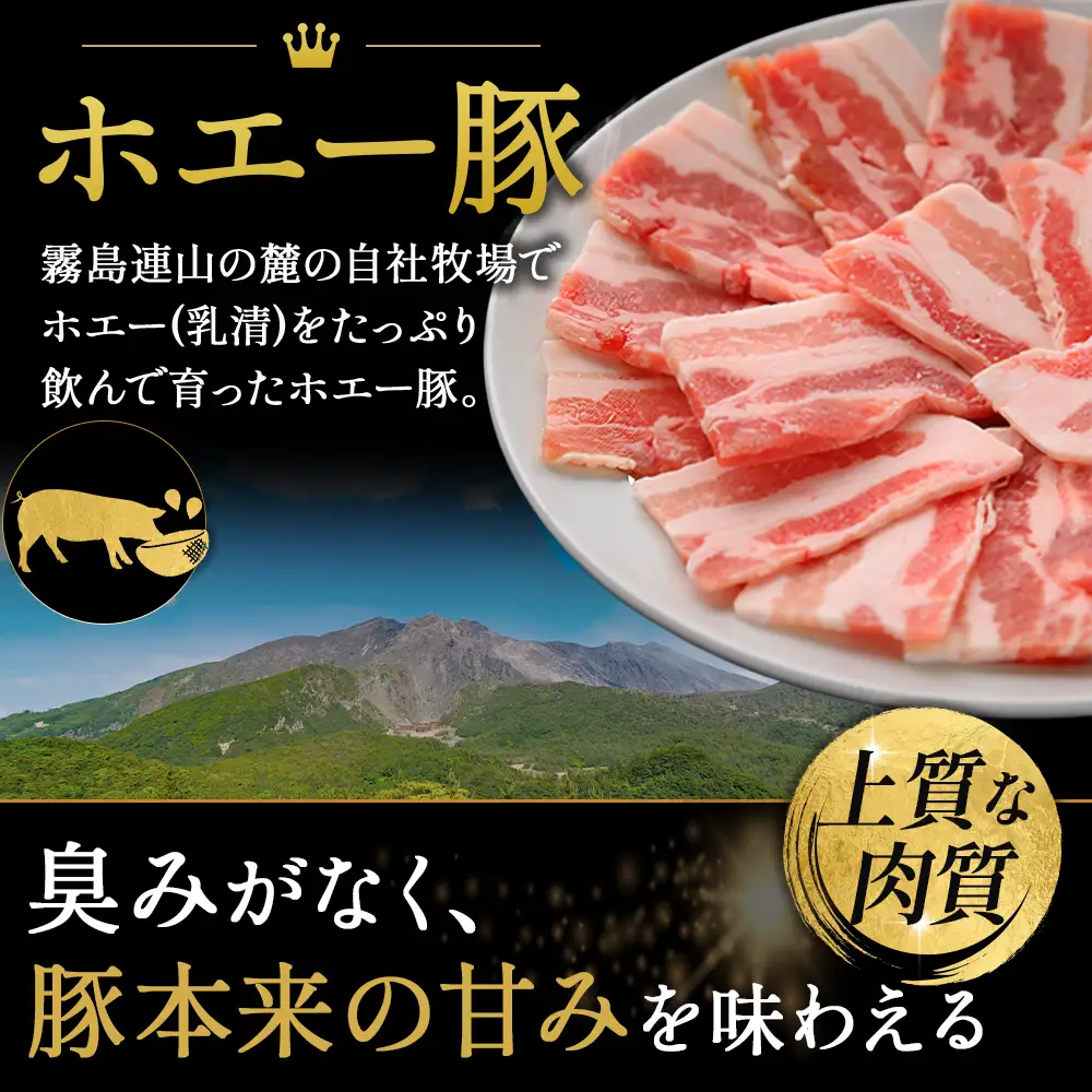 【訳あり】ひなた宮崎ホエー豚不揃い切り落とし焼肉 3.0kg（国産 豚肉 切り落とし　焼肉　やきにく　宮崎 小林市 人気 冷凍）