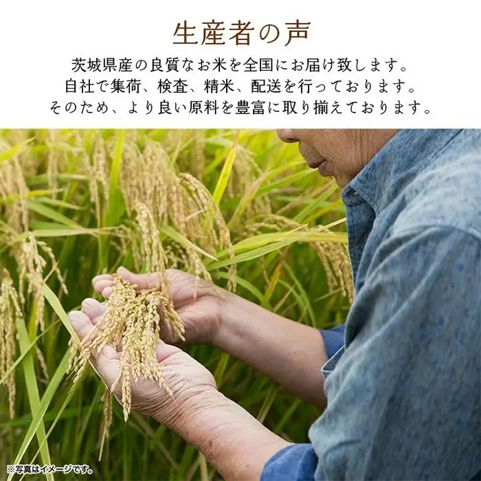 761 茨城県産 こしひかり 米 3kg【石崎商店】