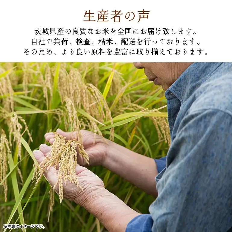 762【令和7年産】茨城県産 こしひかり香 2kg【石崎商店】