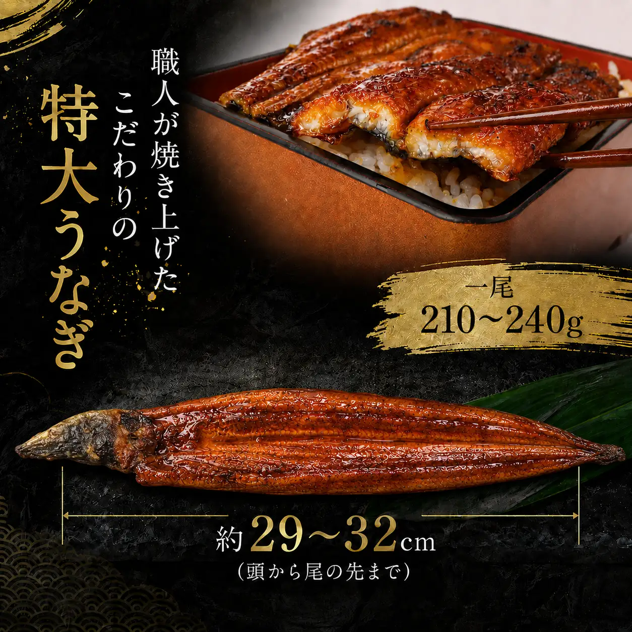 【2回 定期便】 国産 うなぎ 蒲焼 3尾 約600g