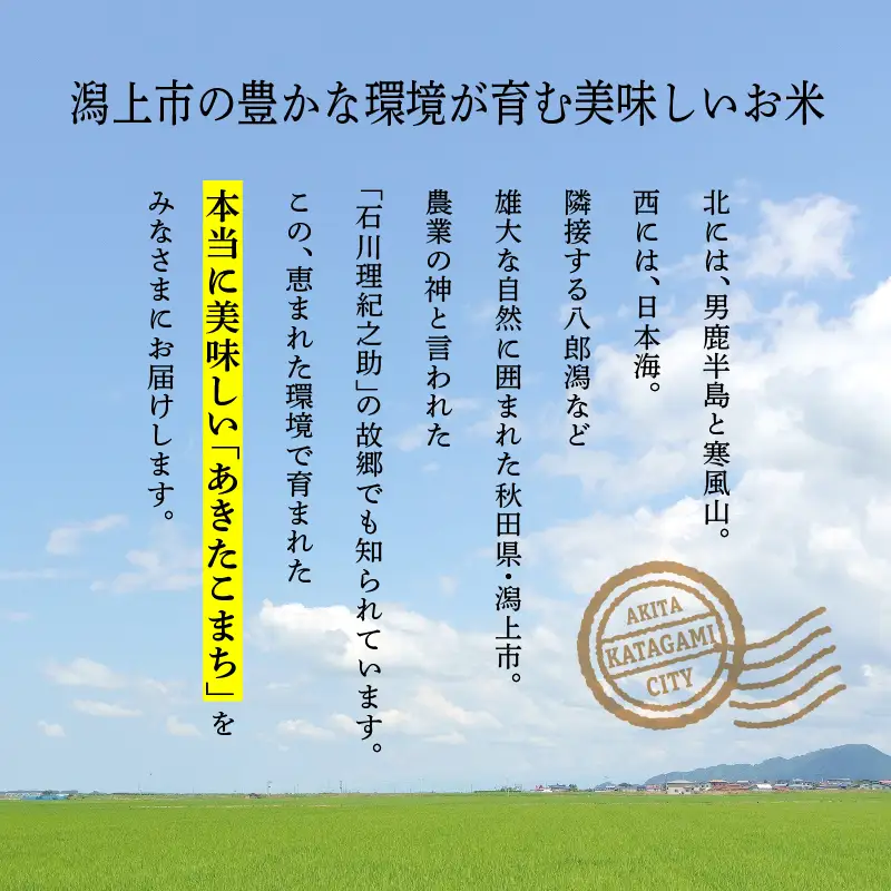 《先行予約》令和8年産 新米 秋田県産 あきたこまち 10kg 精米【鎌仁商店】