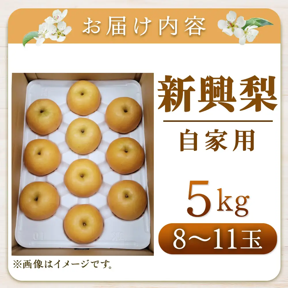 新興梨【自家用】5kg（岸田秀果園） 鳥取 梨 なし ナシ 果物 フルーツ 和梨 新興梨 しんこうなし 人気 自家用 産地直送