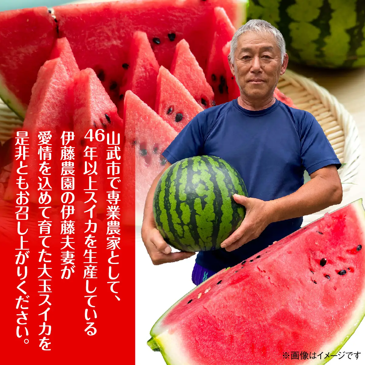 【先行予約・2027年6月上旬～発送】千葉県山武市産の大玉スイカ約12㎏（Ｌサイズ２個セット）SMDA001