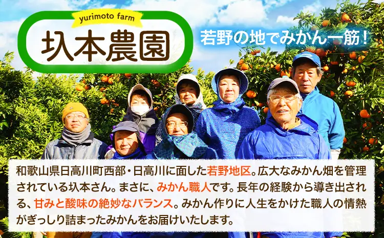 訳あり ゆら早生みかん 5kg 圦本農園 