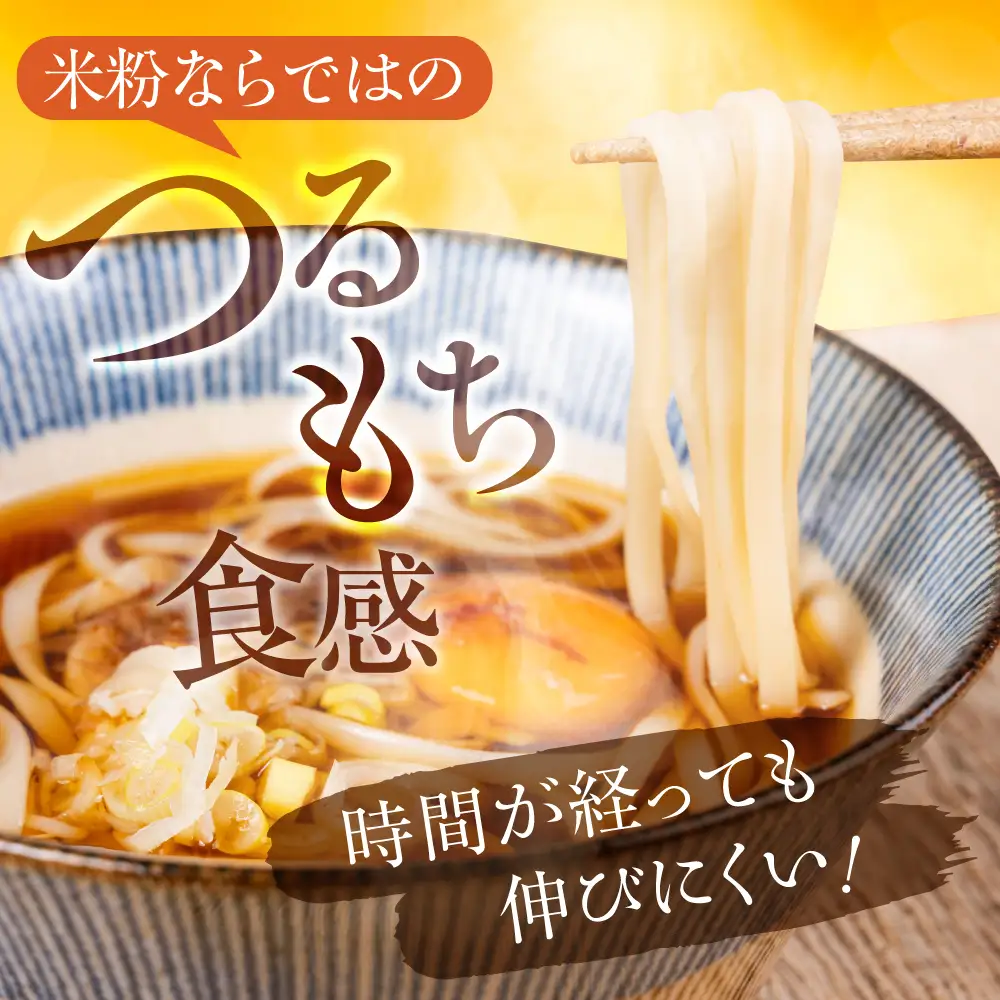 米粉のうどん 8袋 (グルテンフリーめんつゆ付)　米粉うどん めん 麺 お取り寄せ グルメ 主食 米粉麺 送料無料 愛知県 豊橋市