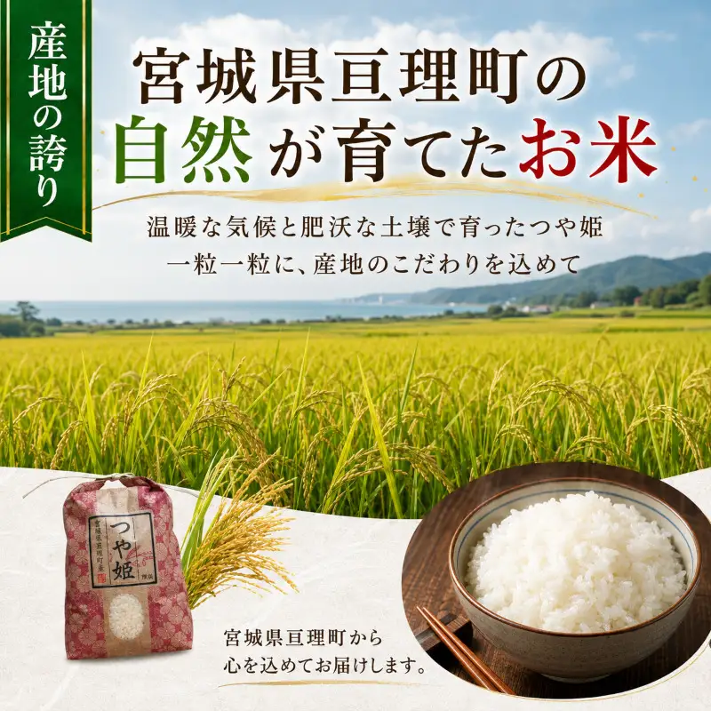 【定期便3回】 つや姫 5kg(5kg×1袋) 令和8年産 新米 先行予約 宮城県産 米 精米