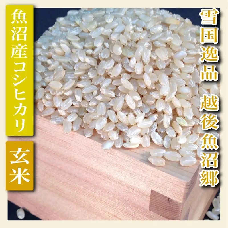 【先行予約 令和8年産】 雪国逸品 玄米2Kg 越後魚沼郷 魚沼産コシヒカリ お米 ブランド米 銘柄米 ご飯 おにぎり お弁当 和食 産地直送 香り つや 粘り 