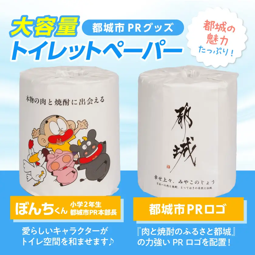 トイレットペーパー ダブル 100ロール ≪14日以内に発送≫〔12-I5-TP100-R〕トイレット