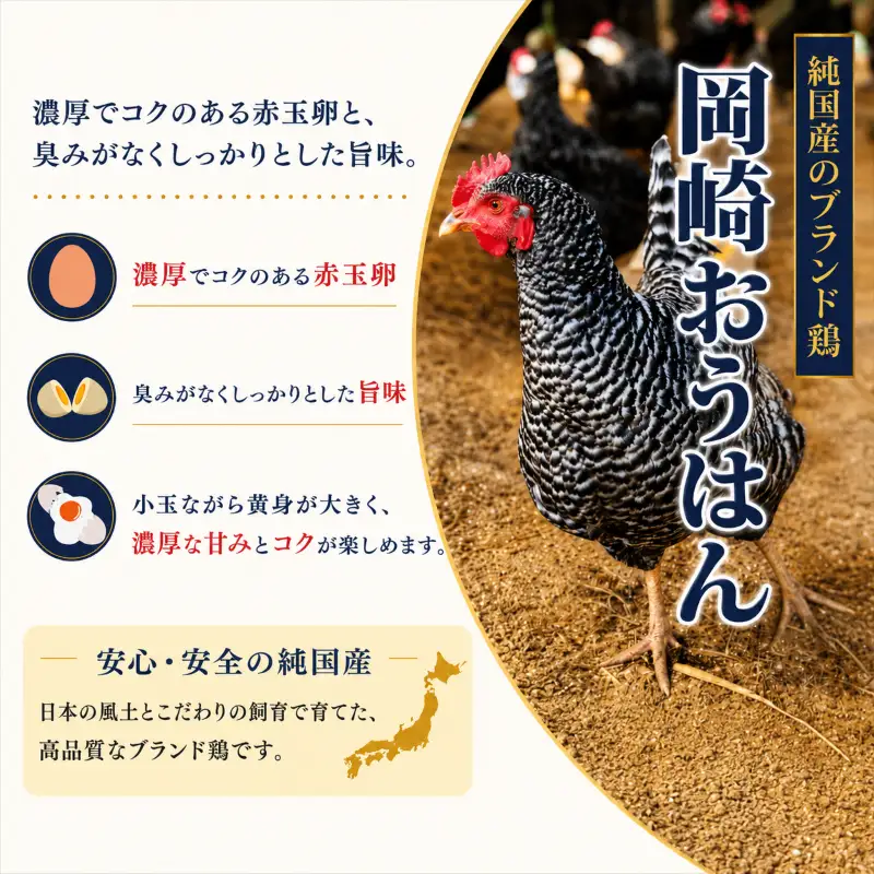 卵 朝採れ 平飼い 自然卵 60個 割れ補償付き
