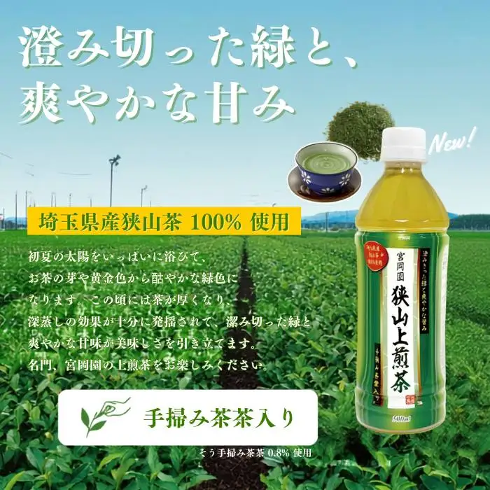 【定期便12か月】狭山上煎茶 ペットボトル 500ml 24本 1ケース