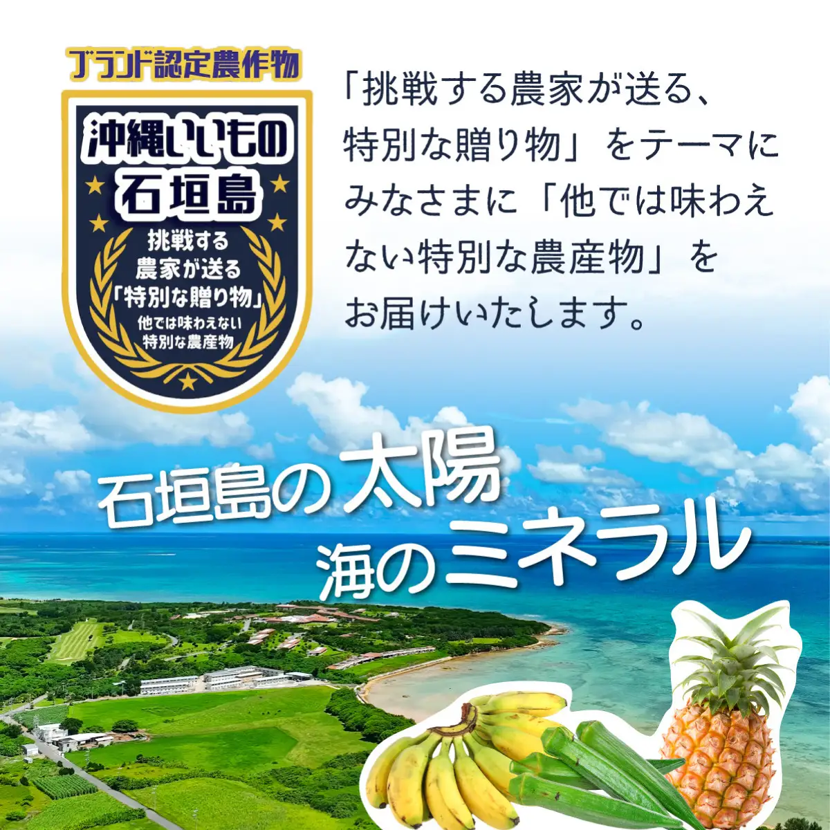 希少！無農薬栽培の千川さんが作る特別なバナナ2房