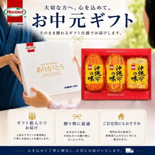 のし付き お中元ハムギフト HL-1(焼豚・ビアサラミ・セレクトベーコン)【配送不可地域：離島】【1753261】
