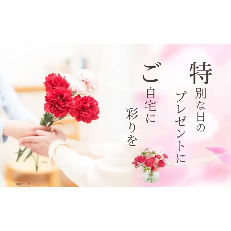 ＜10月配送＞ 北海道 カーネーション ミックス 4品種 20本以上 花 花束 切花 ブーケ 旬 季節 詰め合わせ 生花 フラワー アレンジメント 産地直送 